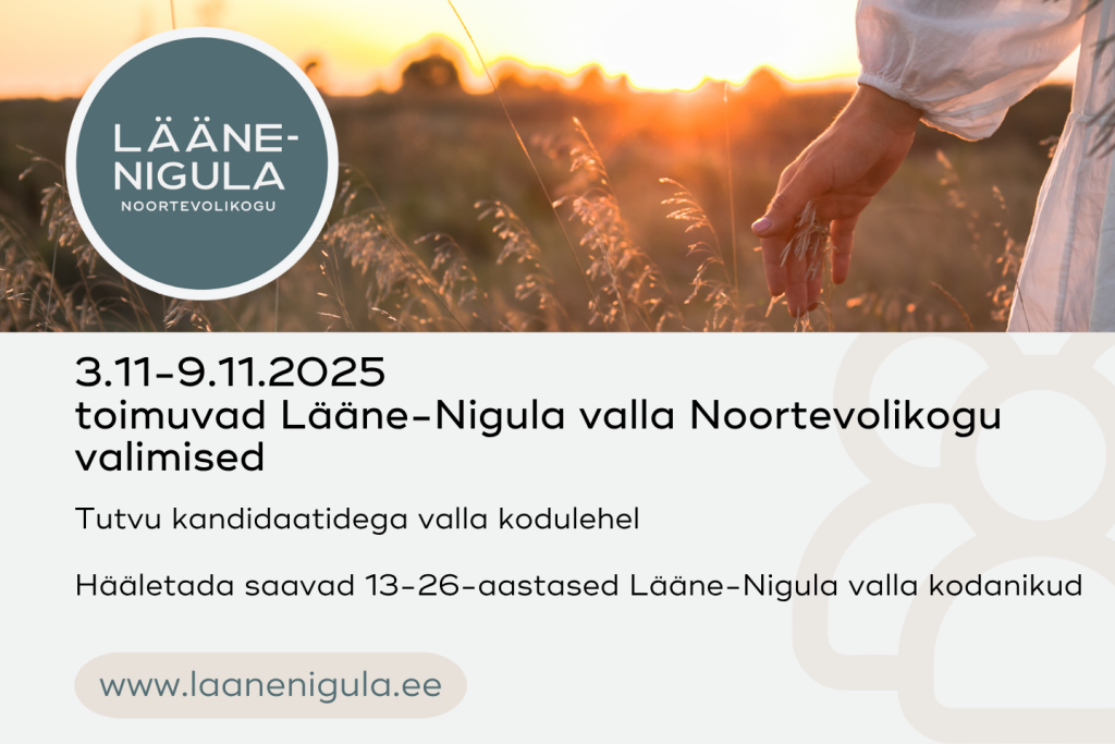Noortevolikogu valimised 3-9.november 2025