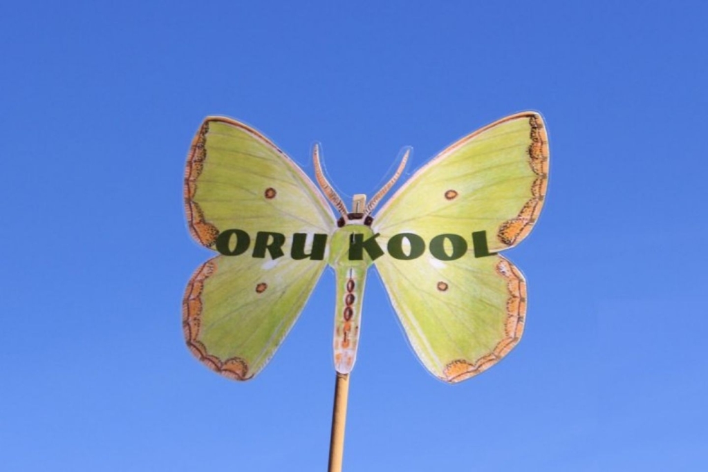 Oru Kooli liblikas