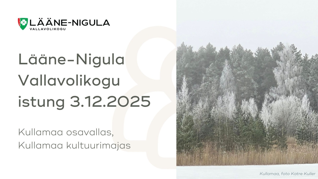 Volikogu 3.12.2025