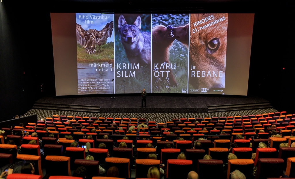 Kriimsilm, karuott ja rebane. Märkmeid metsast