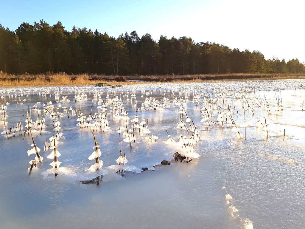 Esimene jää Ramsil 2020