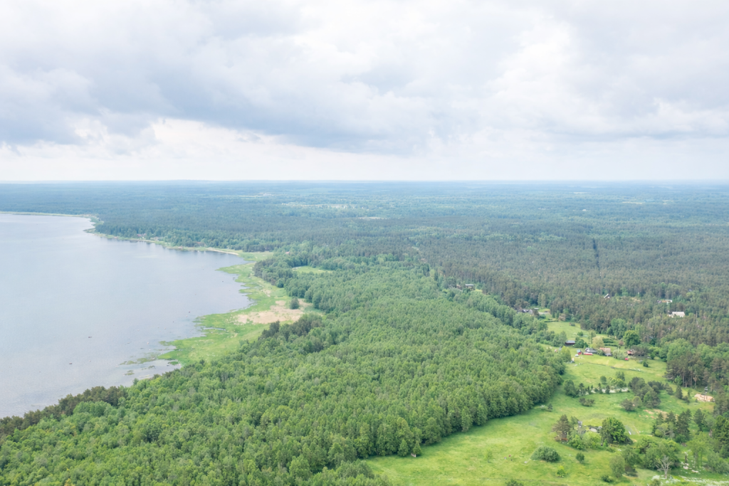 Nõva rannik