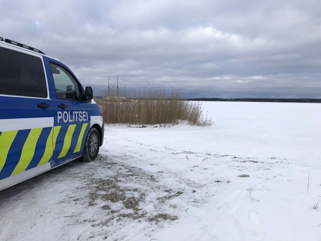 Isetekkeline jäätee