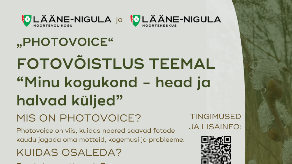 Fotovõistlus