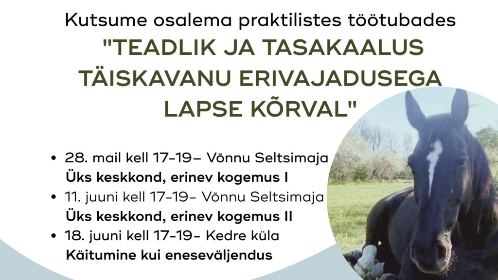 Kutsume osalema praktilistes töötubades  Teadlik ja tasakaalus täiskavanu erivajadusega lapse kõrval (2).jpg