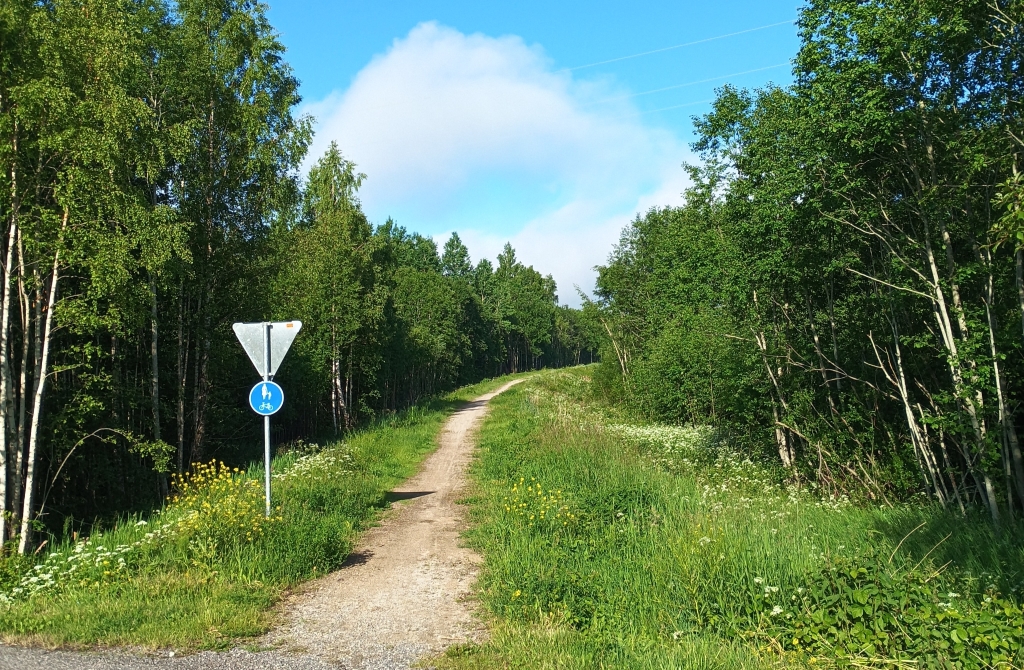 Läänemaa tervisetee